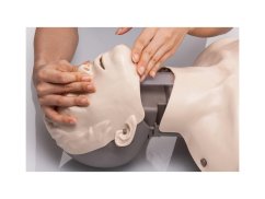 1721 16 resuscitacni figurina dospeleho brayden s vizualizaci prutoku krve nacvik zaklon hlavy 1721 16 resuscitacni figurina dospeleho brayden s vizualizaci prutoku krve nacvik zaklon hlavy