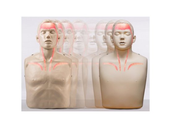 1721 10 konverze brayden adult na brayden junior