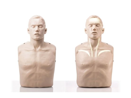 1721 7 resuscitacni figurina dospeleho brayden se zobrazeni prutoku krve srdcem a mozkem