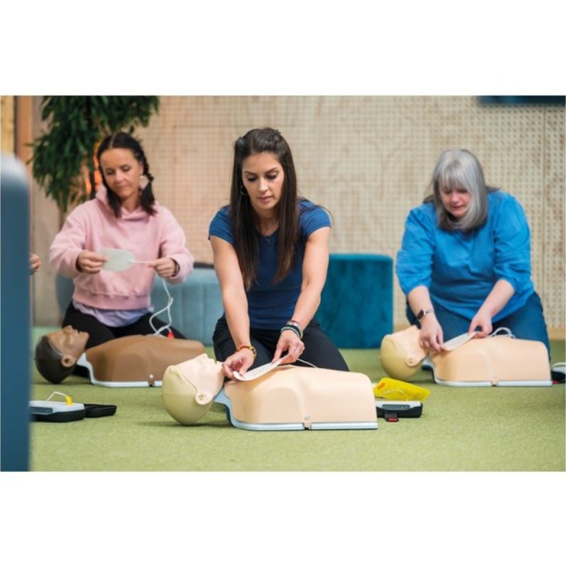 3d589d487250cd20988145427b033944 766b32bd5a8095 little anne qcpr 6 ks stohovatelna sada resuscitacnich figurin 135 01350 8