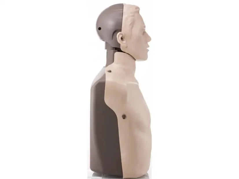 1721 15 resuscitacni figurina dospeleho brayden s vizualizaci prutoku krve pohled z boku